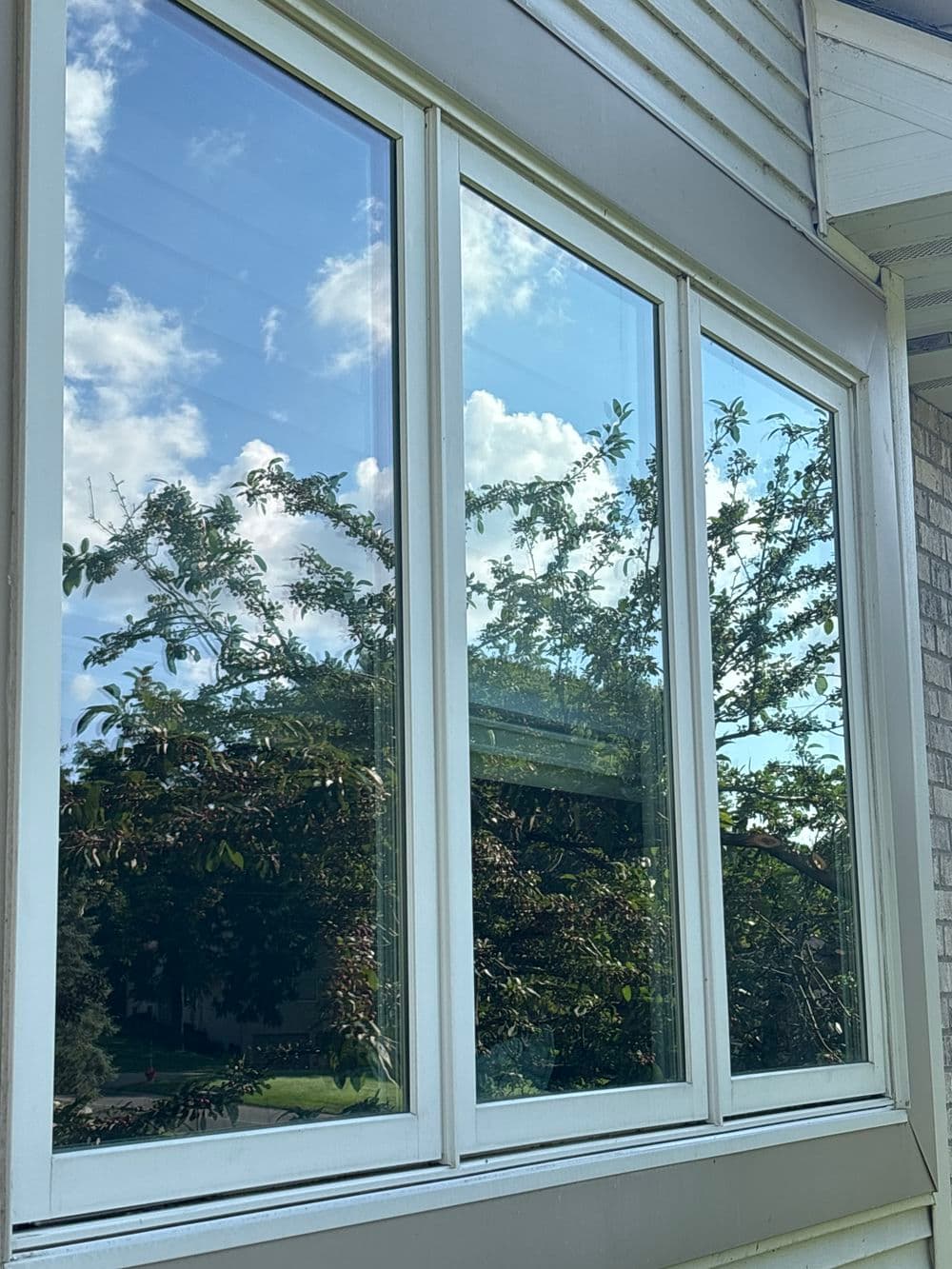 Modern triple-pane window reflecting trees and blue sky, enhancing natural light and view.