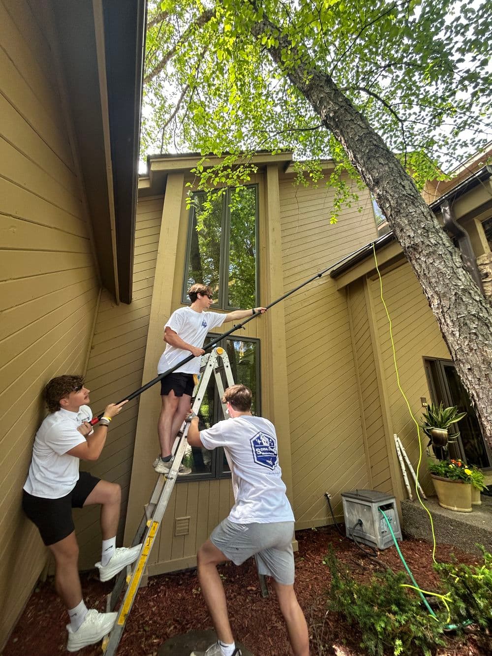 Three volunteers cleaning windows using a ladder, surrounded by trees and landscaping.