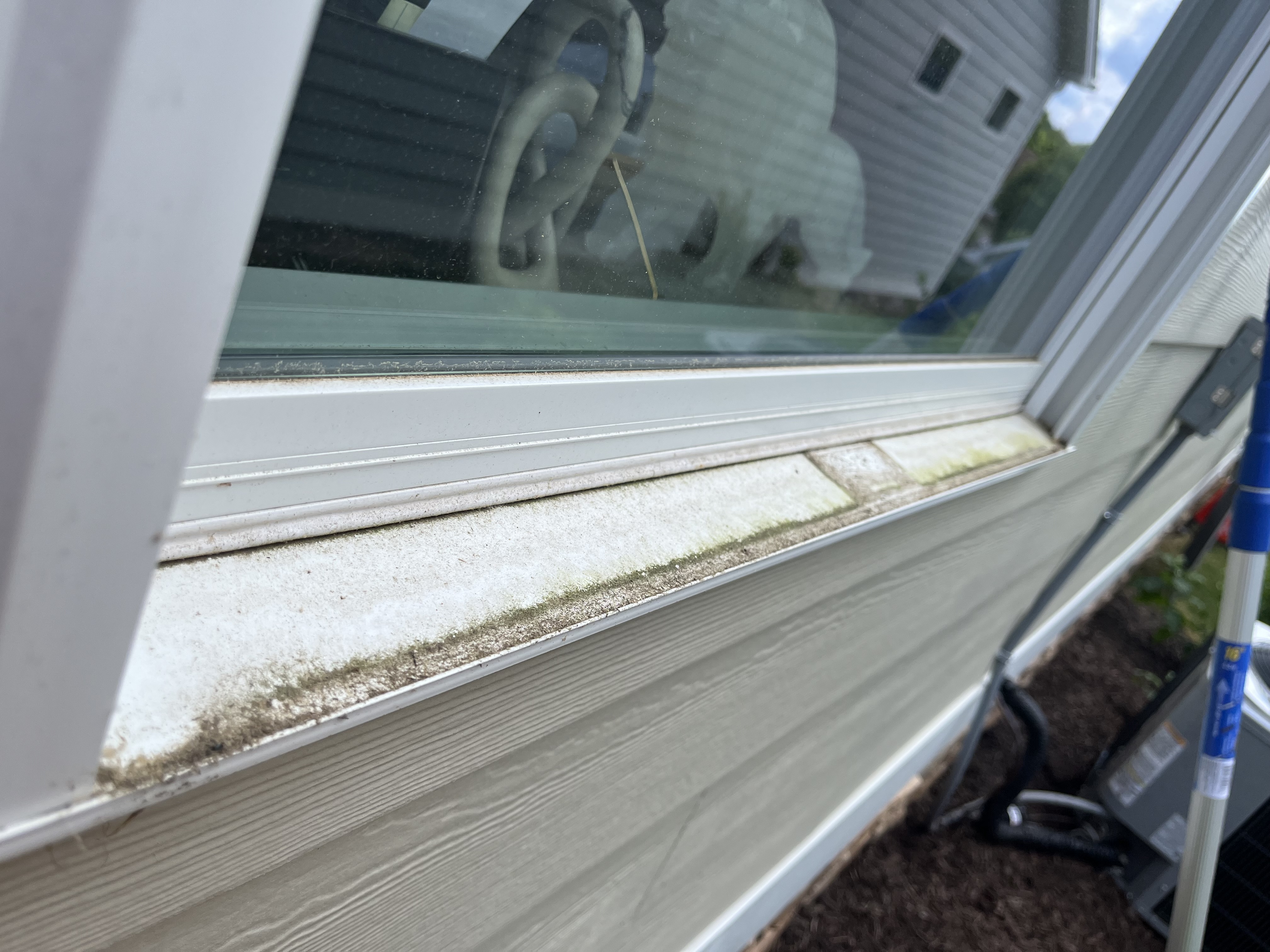 Dirty window track with algae buildup before professional cleaning
