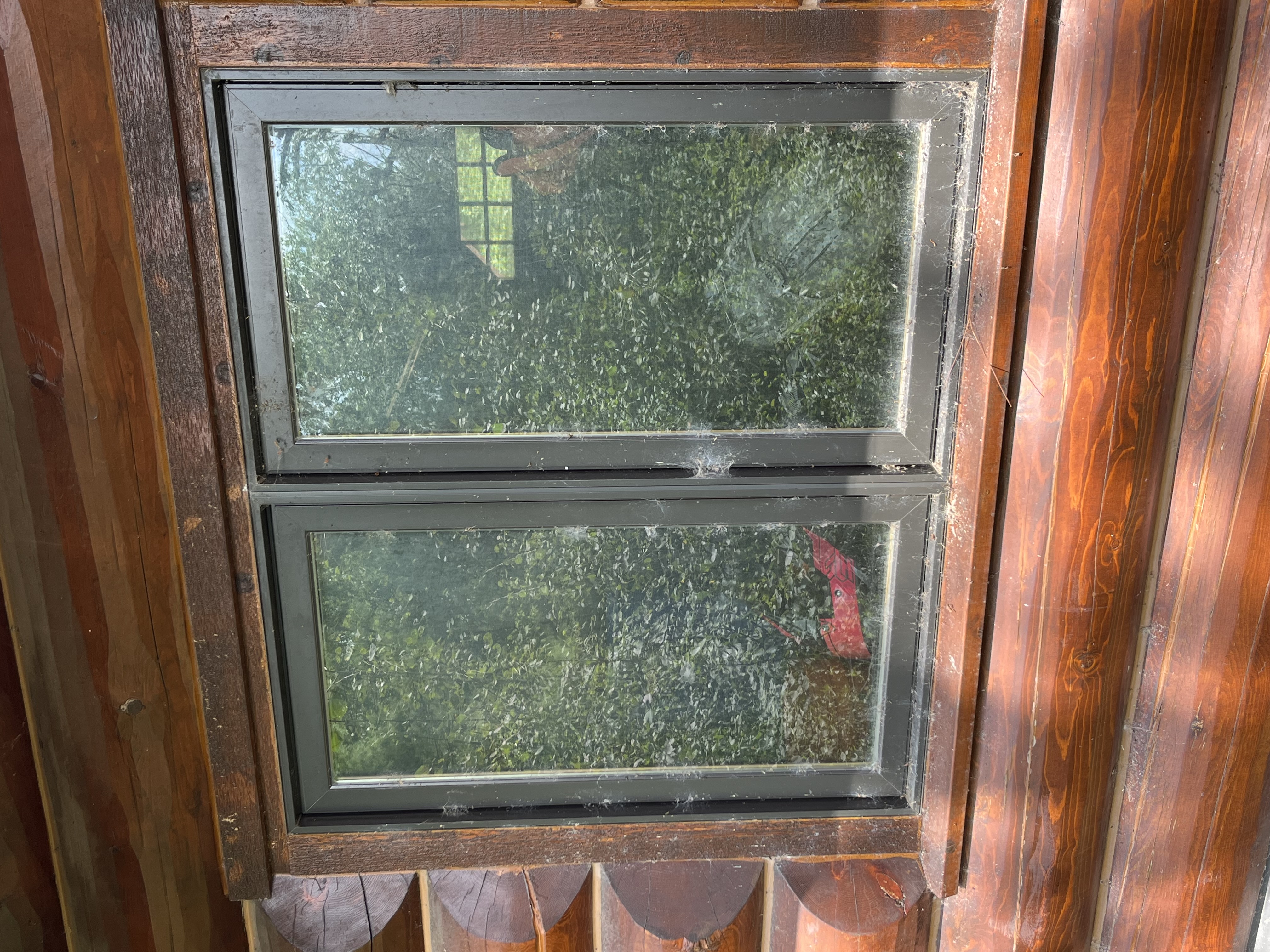 Window cleaning technician serving Bloomington homes